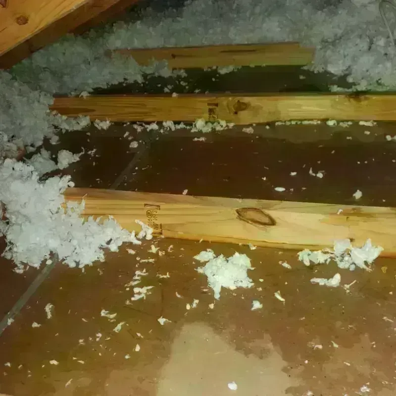 Attic Water Damage in Kenova, WV